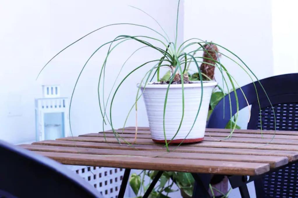 Cozy Vatican With Starry Balcony Garden Appartamento